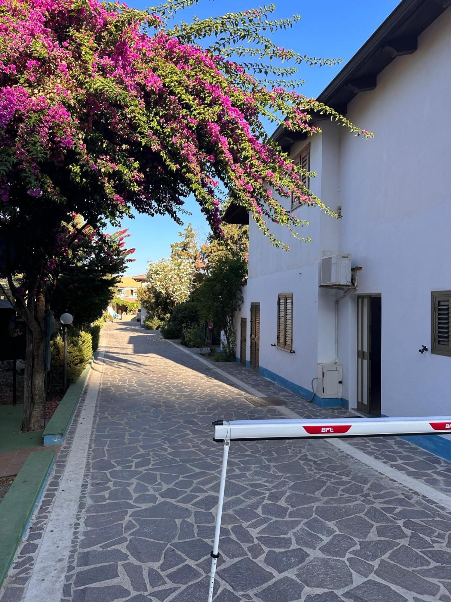 Villaggio Camping La Scogliera Ricadi Esterno foto